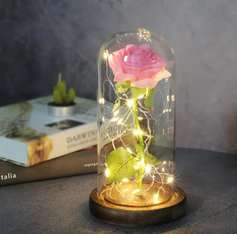 Enchanted Forever Rose Flower in Glass LED Light Christmas Decoration